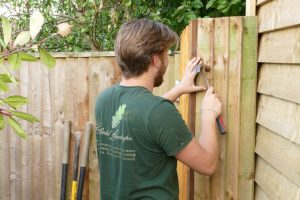 Fencing Orpington (2)