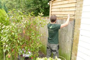 Fencing Orpington