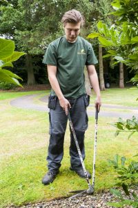 Garden Maintenance Orpington (17)