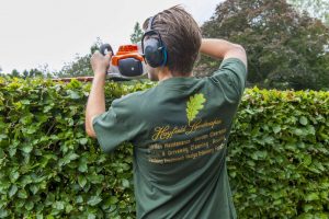 Garden Services Orpington by Hayfield Landscapes (7)