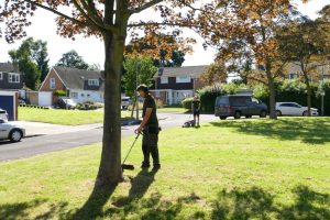 Grounds Maintenance Orpington (5)